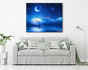 vízimadarak és hold a csillagos éjszakában - mágikus háttér (vászonkép) - vászonkép, falikép otthonra és irodába