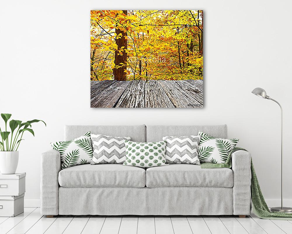 Őszi vízesés helyszíne - vászonkép, falikép vásárlás Őszi vízesés helyszíne (vászonkép) - vászonkép, falikép otthonra és irodába