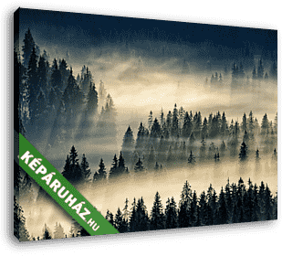 tűlevelű erdő a ködös hegyekben - vászonkép 3D látványterv