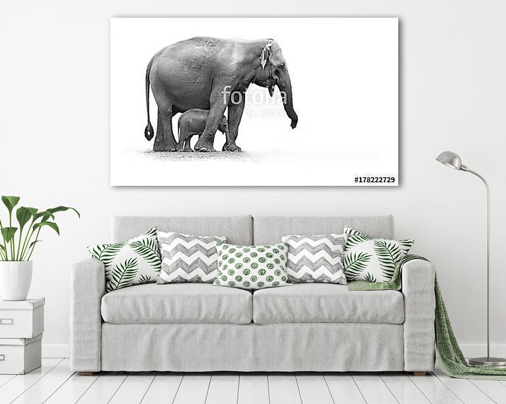 Afrikai elefánt kicsinyével fekete-fehérben (vászonkép) - vászonkép, falikép otthonra és irodába