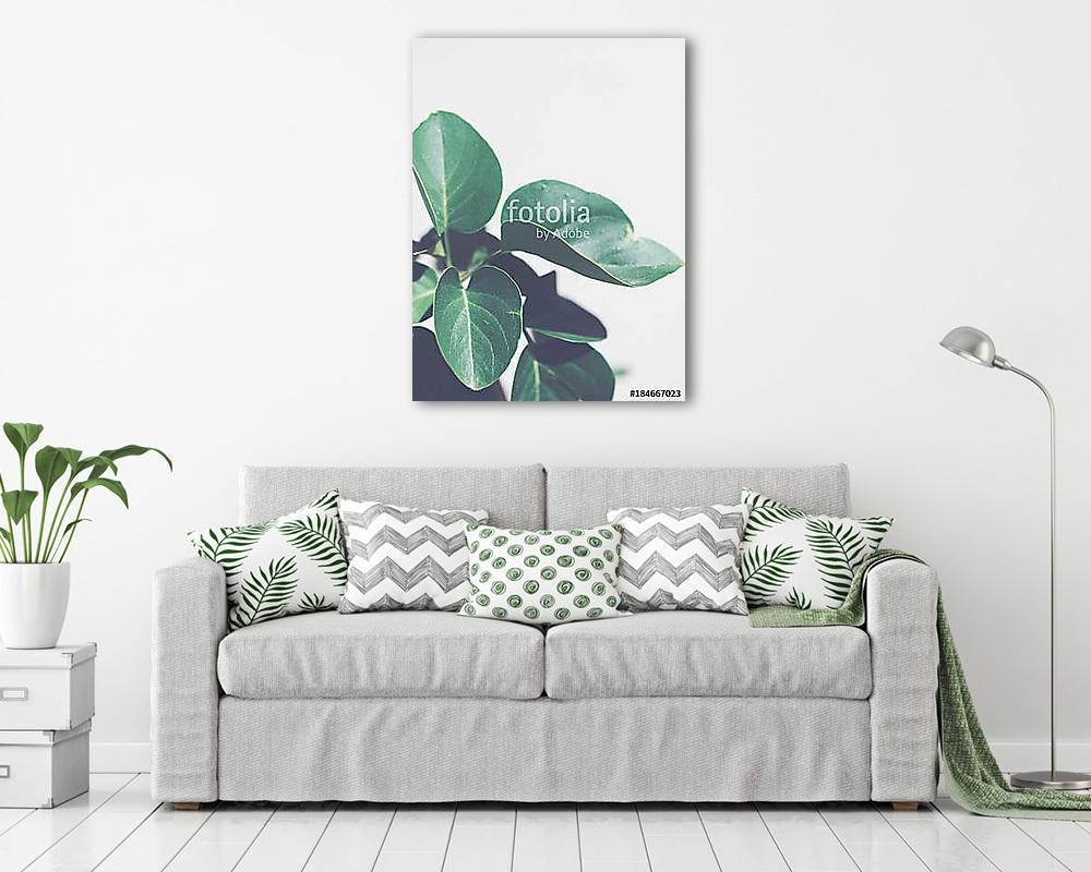 Trópusi zöld növény (bögre) - vászonkép, falikép otthonra és irodába