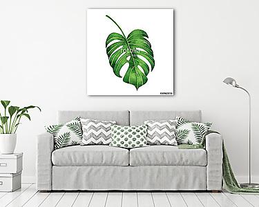 Watercolor painting tropical green leaves,palm leaf isolated on  (vászonkép) - vászonkép, falikép otthonra és irodába