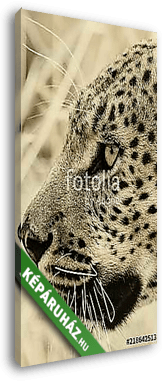 Ritratto di leopardo - vászonkép 3D látványterv