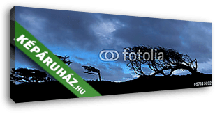 Fák a Tierra del Fuego-ban, Patagónia, Argentína - vászonkép 3D látványterv