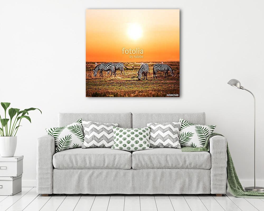 Zebra állomány az afrikai szavanna közelében naplementekor. Safa (vászonkép) - vászonkép, falikép otthonra és irodába