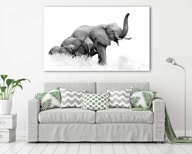 Afrikai elefántok fekete-fehér (vászonkép) - vászonkép, falikép otthonra és irodába