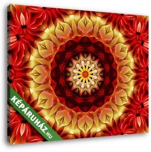 Floral mandala beautiful design - vászonkép 3D látványterv