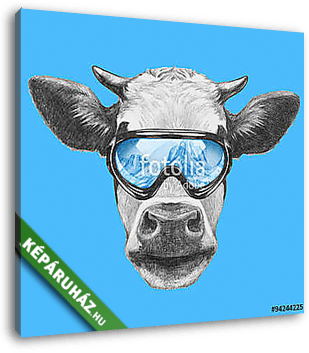 Portrait of Cow with ski goggles. Hand drawn illustration. - vászonkép 3D látványterv