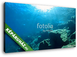 natural underwater background  - vászonkép 3D látványterv