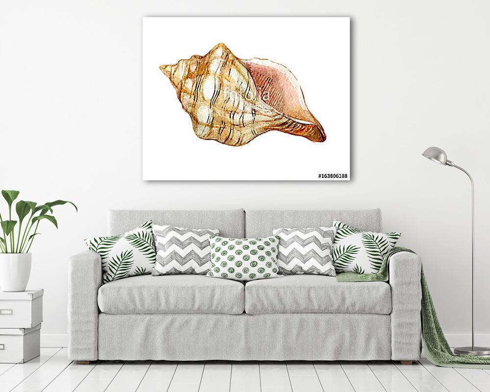Shell isolated on white background, watercolor illustration (vászonkép) - vászonkép, falikép otthonra és irodába