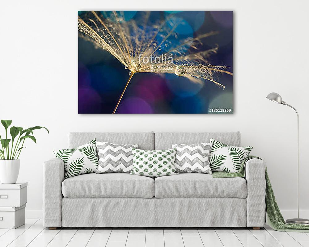 A dandelion seed with water drops on a colorful bokeh background - vászonkép, falikép vásárlás A dandelion seed with water drops on a colorful bokeh background (fotótapéta) - vászonkép, falikép otthonra és irodába