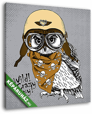Poster with portrait of owl wearing a retro motorcyclist helmet  - vászonkép 3D látványterv