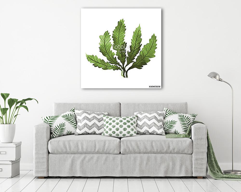 Green Seaweed,kelp, Algae in the ocean, watercolor hand painted  (többrészes kép) - vászonkép, falikép otthonra és irodába