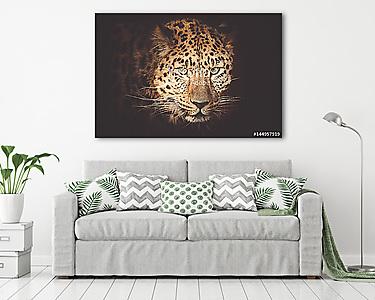 leopard (vászonkép) - vászonkép, falikép otthonra és irodába