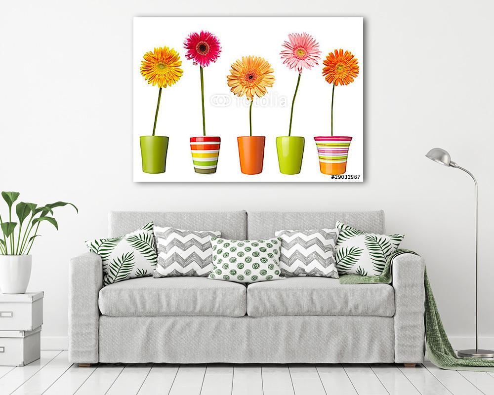 virágos természet kert botanika százszorszép virágos edény (vászonkép) - vászonkép, falikép otthonra és irodába