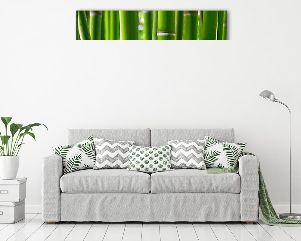 Bambusz erdő (vászonkép) - vászonkép, falikép otthonra és irodába