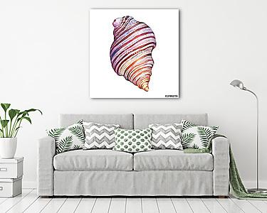 Illustrations of sea shells. Marine design. Hand drawn watercolo (vászonkép) - vászonkép, falikép otthonra és irodába