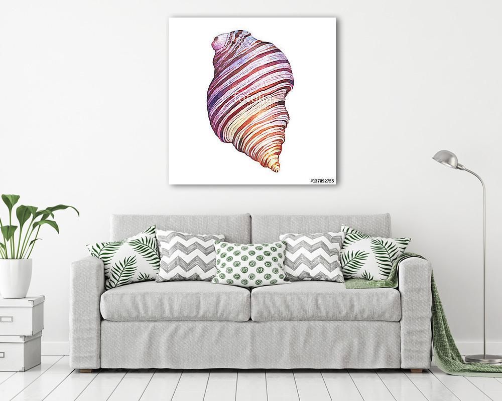 Illustrations of sea shells. Marine design. Hand drawn watercolo (fotótapéta) - vászonkép, falikép otthonra és irodába