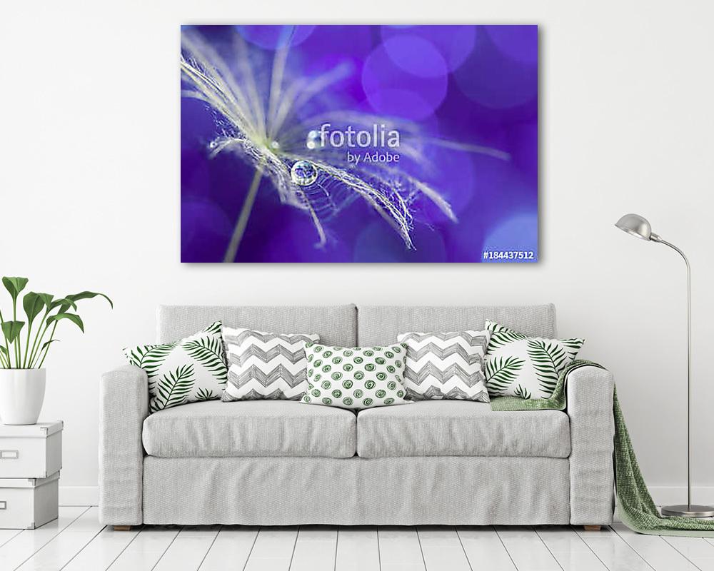 Dandelion macro with drops of dew on the ultra violet background (poszter) - vászonkép, falikép otthonra és irodába