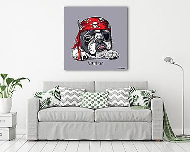 French Bulldog portrait in a pirate bandana. Vector illustration (vászonkép) - vászonkép, falikép otthonra és irodába