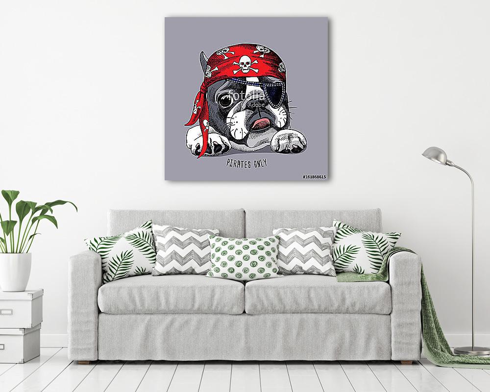 French Bulldog portrait in a pirate bandana. Vector illustration (keretezett kép) - vászonkép, falikép otthonra és irodába