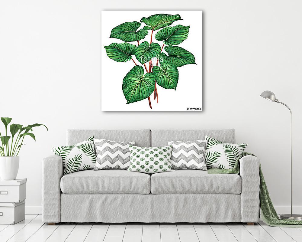 Watercolor painting green leaves,palm leaf isolated on white bac (többrészes kép) - vászonkép, falikép otthonra és irodába