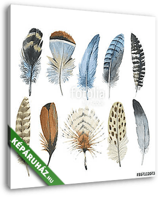 Vector bird feather from wing isolated. Aquarelle feather for ba - vászonkép 3D látványterv