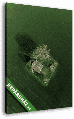 Zöld a zöldben - vászonkép 3D látványterv