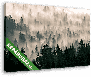Ködös erdő - vászonkép 3D látványterv