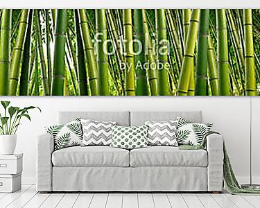 Sűrű bambusz dzsungel (vászonkép) - vászonkép, falikép otthonra és irodába