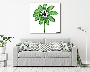 Watercolor painting green leaves,palm leaf isolated on white bac (vászonkép) - vászonkép, falikép otthonra és irodába