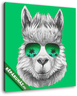 Portrait of Lama with mirror sunglasses and scarf. Hand drawn il - vászonkép 3D látványterv