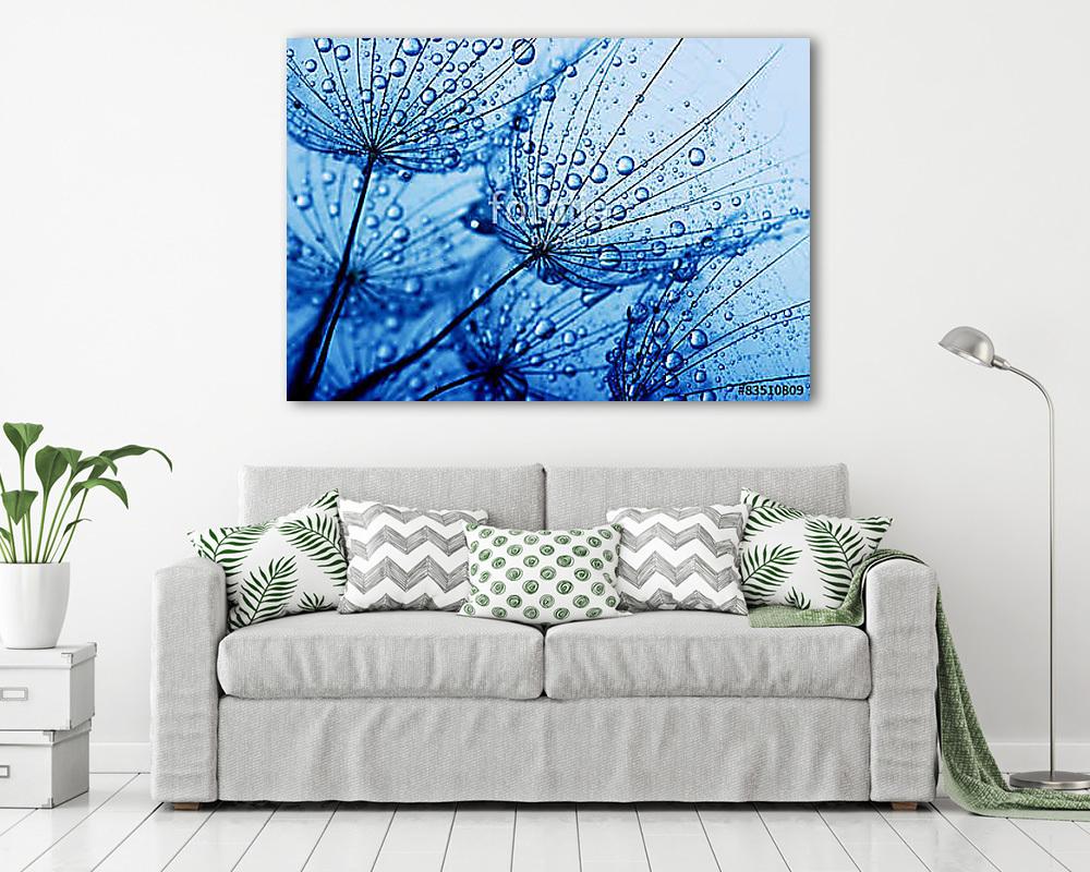 Pitypangvirág - vászonkép, falikép vásárlás Pitypangvirág (poszter) - vászonkép, falikép otthonra és irodába