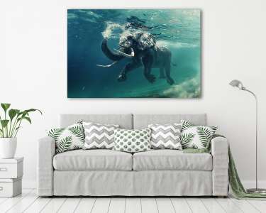 An elephant underwater (vászonkép) - vászonkép, falikép otthonra és irodába