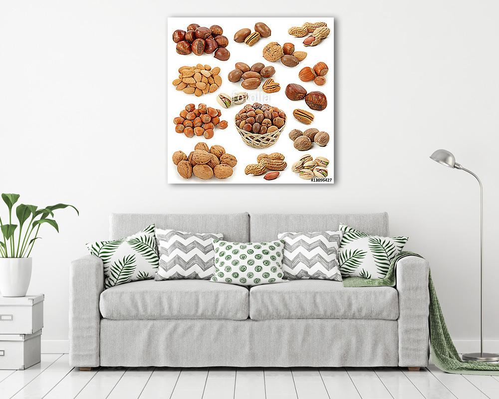 Nuts gyűjtemény elszigetelt fehér háttér - vászonkép, falikép vásárlás Nuts gyűjtemény elszigetelt fehér háttér (vászonkép) - vászonkép, falikép otthonra és irodába
