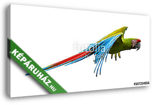 Zöld papagáj repül - vászonkép 3D látványterv