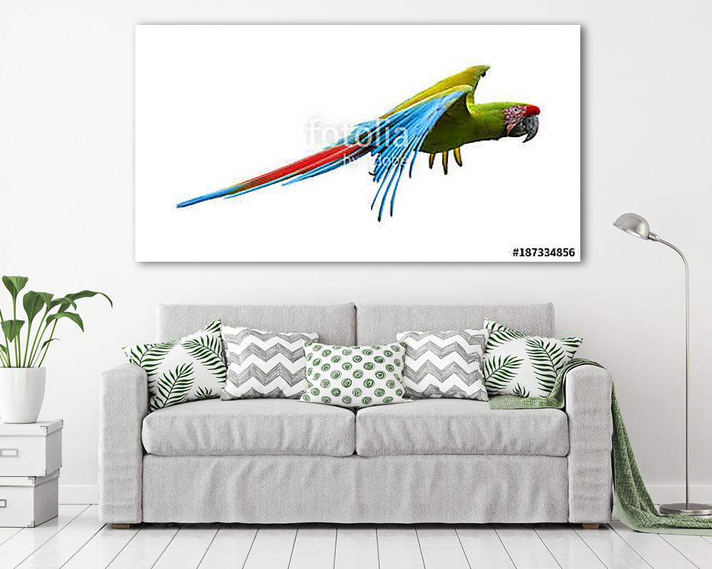 Zöld papagáj repül - vászonkép, falikép vásárlás Zöld papagáj repül (vászonkép) - vászonkép, falikép otthonra és irodába
