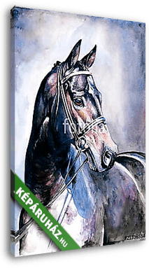 Fekete ló (akvarell) - vászonkép 3D látványterv