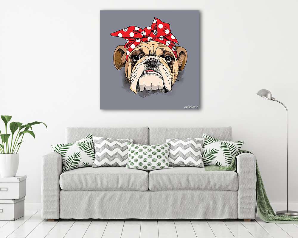 Bulldog portrait in a headband. Vector illustration. - vászonkép, falikép vásárlás Bulldog portrait in a headband. Vector illustration. (vászonkép) - vászonkép, falikép otthonra és irodába