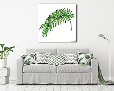 Watercolor painting coconut, palm leaf,green leave isolated on w (vászonkép) - vászonkép, falikép otthonra és irodába