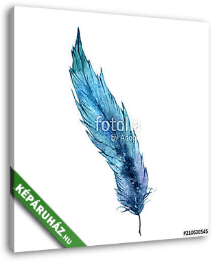 Watercolor bird feather from wing isolated. Aquarelle feather fo - vászonkép 3D látványterv