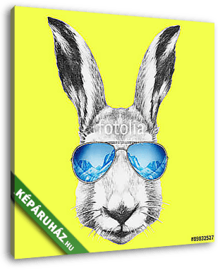 Portrait of Hare with mirror sunglasses and scarf. Hand drawn il - vászonkép 3D látványterv