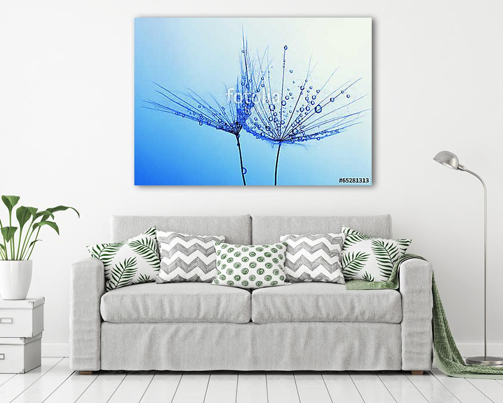 seeds with drops (poszter) - vászonkép, falikép otthonra és irodába