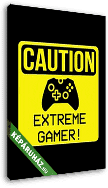 Vigyázat, extreme gamer! - vászonkép 3D látványterv