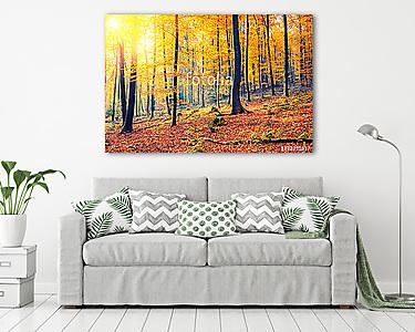 Színes és ködös őszi erdő (vászonkép) - vászonkép, falikép otthonra és irodába