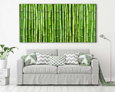bambusz (vászonkép) - vászonkép, falikép otthonra és irodába