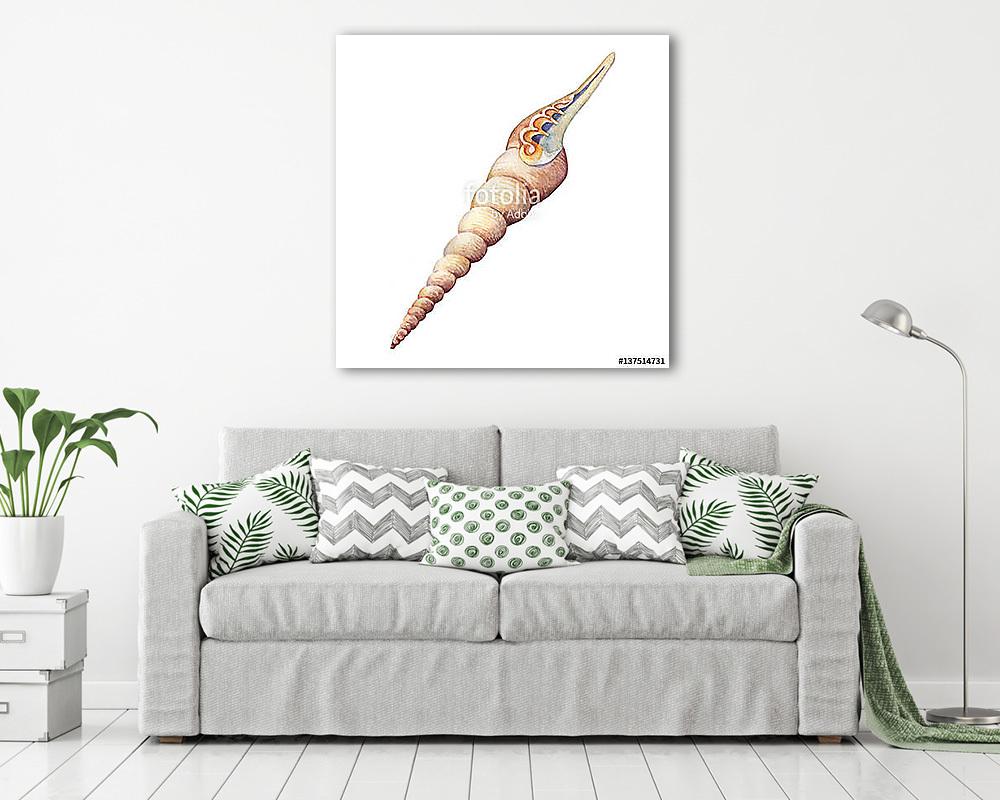 Illustrations of sea shells. Marine design. Hand drawn watercolo (keretezett kép) - vászonkép, falikép otthonra és irodába