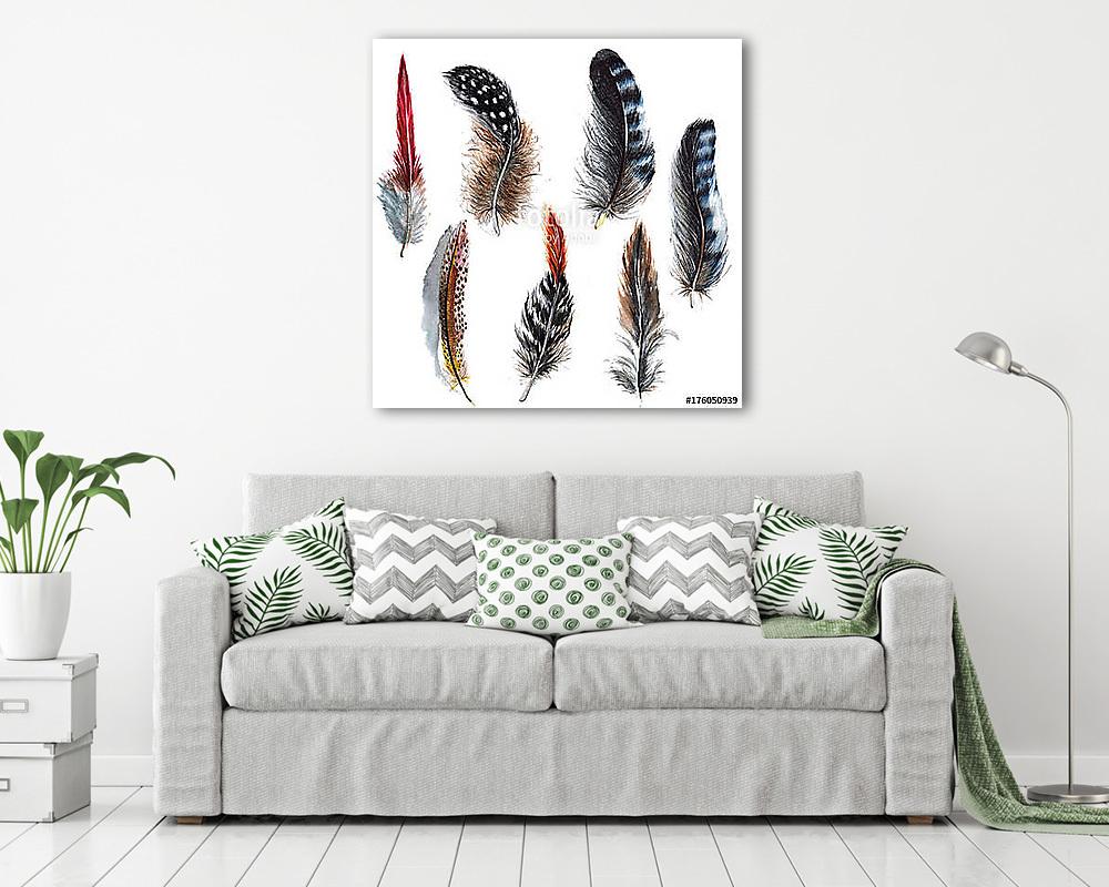 Watercolor bird feather from wing isolated. Aquarelle feather fo (fotótapéta) - vászonkép, falikép otthonra és irodába