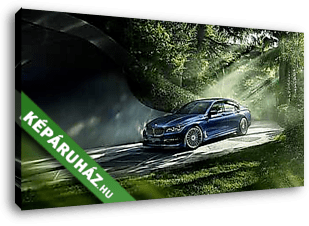 BMW 7 - Forest - vászonkép 3D látványterv