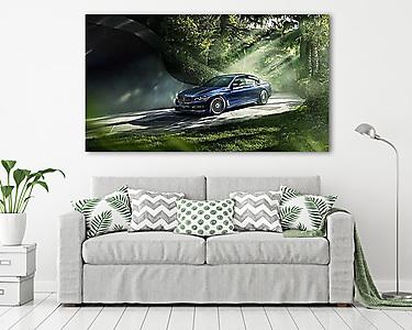 BMW 7 - Forest (vászonkép) - vászonkép, falikép otthonra és irodába